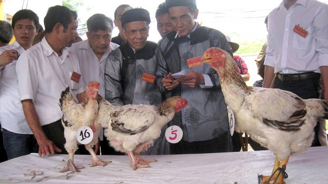 Hàng tết “đại gia” 