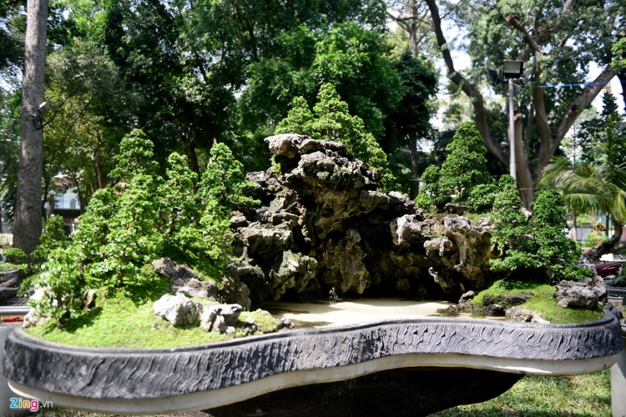 Ky hoa di thao do ve Hoi hoa xuan lon nhat Sai Gon hinh anh 2