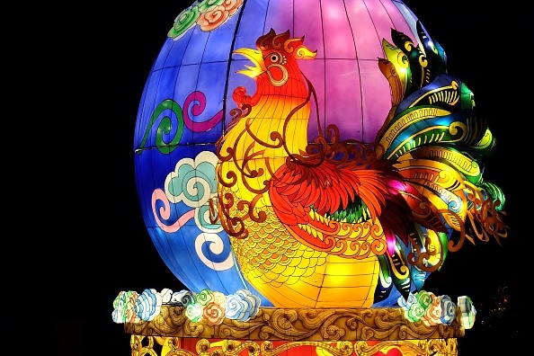 Ga vang ruc ro khap the gioi truoc Tet Dinh Dau hinh anh 12