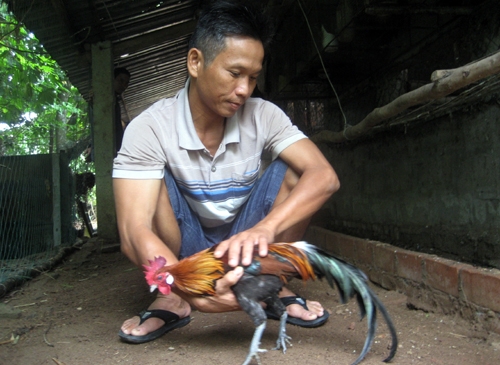 thu-100-trieu-dong-tu-7-qua-trung-ga-rung