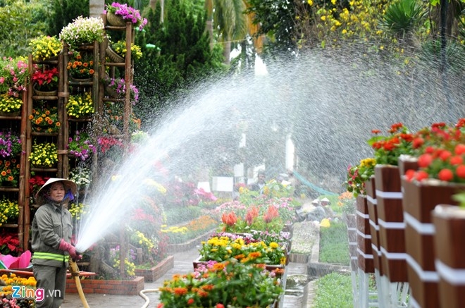 Linh vat Tet 'mai am hanh phuc' o Quang Ngai hinh anh 8