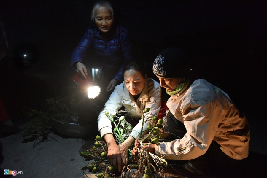 Phien cho Tet dam net que o ngoai thanh Ha Noi hinh anh 7