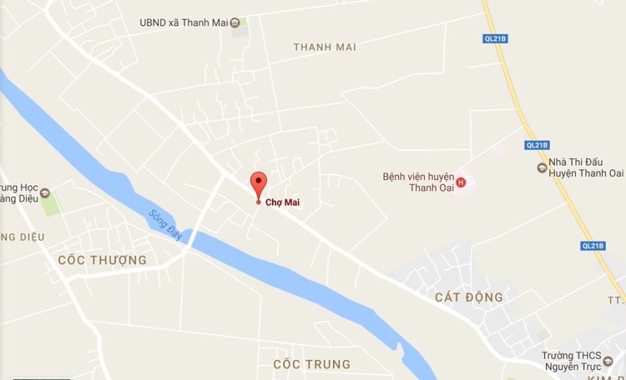 Phien cho Tet dam net que o ngoai thanh Ha Noi hinh anh 15