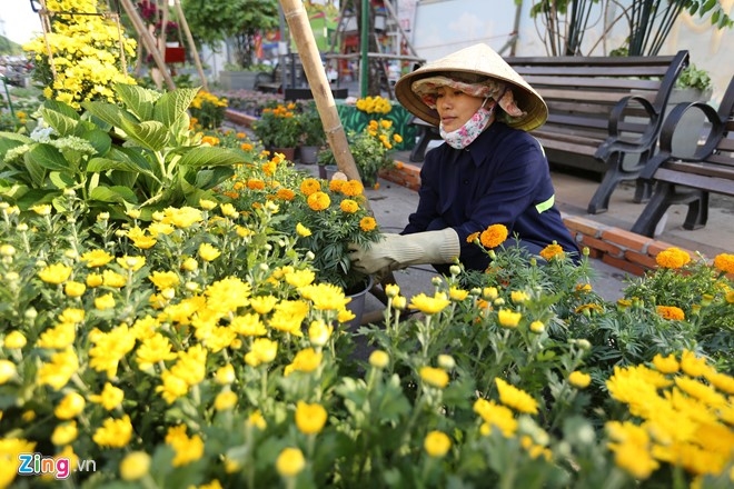Cac diem giu xe gia re cho khach dao duong hoa Nguyen Hue hinh anh 1
