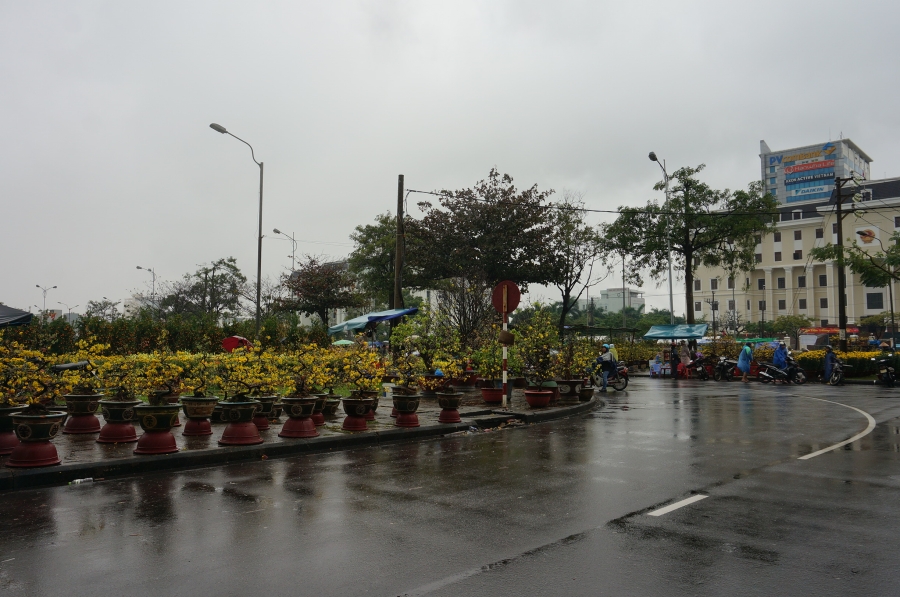 Chủ tịch Đà Nẵng ra chợ hoa 'rao hàng giúp' để người dân mua hoa Tết - ảnh 6