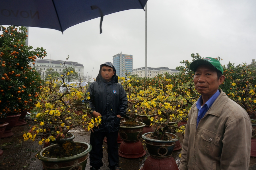 Chủ tịch Đà Nẵng ra chợ hoa 'rao hàng giúp' để người dân mua hoa Tết - ảnh 8