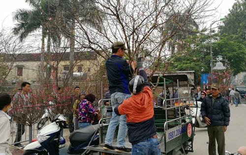 chung dao rung ngay tet: thu choi gay tranh cai! hinh anh 4
