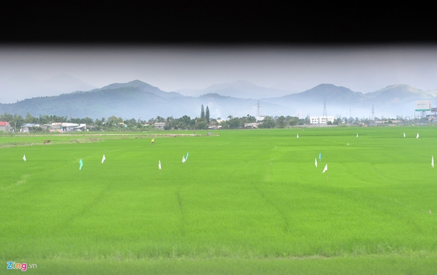 Noi niem nguoi xa xu tren chuyen tau Tet xuyen Viet hinh anh 14