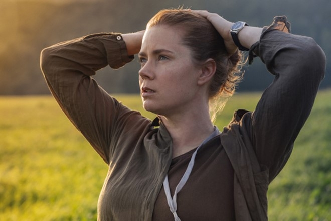 Website Oscar dang nham de cu cho Amy Adams, Tom Hanks hinh anh 2