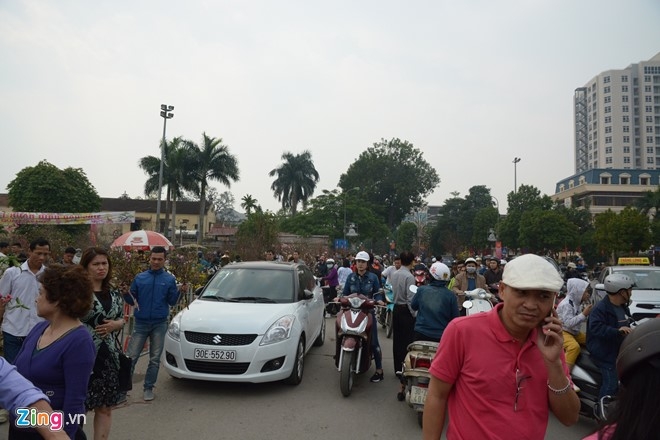 Dao, quat pha gia chieu 29 Tet hinh anh 1