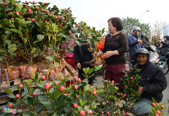 Nguoi Ha Noi tap nap mua sam trong phien cho 29 Tet hinh anh 6