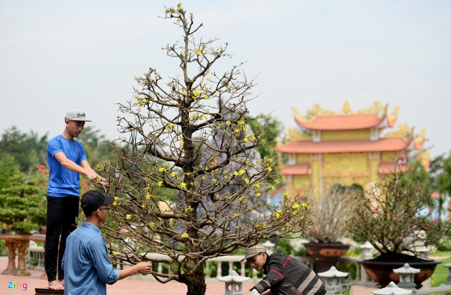 Nha tho To cua Hoai Linh duoc trang tri don Tet Dinh Dau hinh anh 7