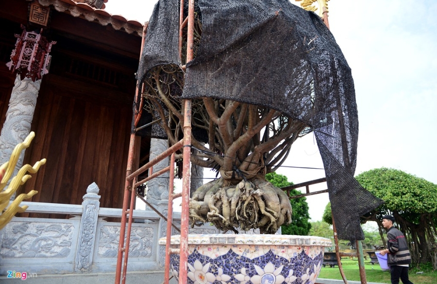 Nha tho To cua Hoai Linh duoc trang tri don Tet Dinh Dau hinh anh 10