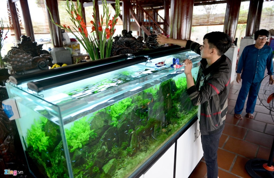 Nha tho To cua Hoai Linh duoc trang tri don Tet Dinh Dau hinh anh 14