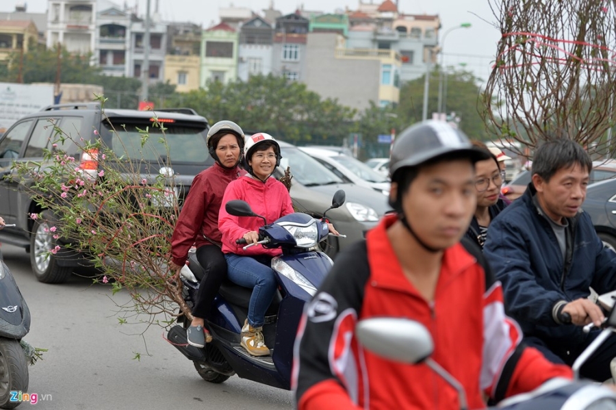 Ngoi tren oto mua hoa dao gay un tac chieu 30 Tet hinh anh 15