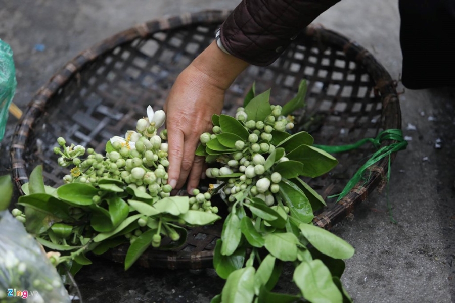 Pho phuong Ha Noi, Sai Gon chieu 30 Tet hinh anh 4