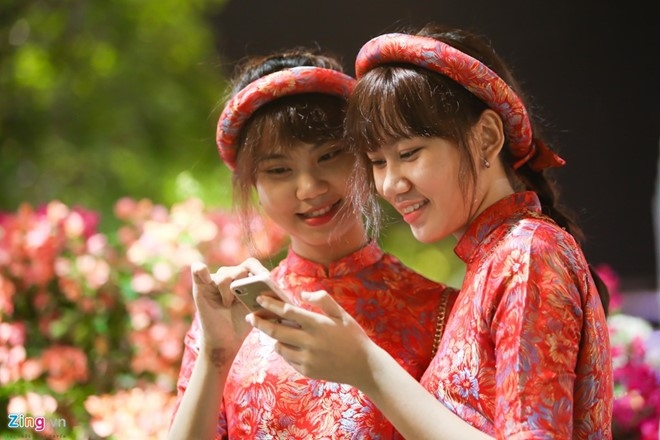 15 loi chuc Tet Dinh Dau hay hinh anh 1