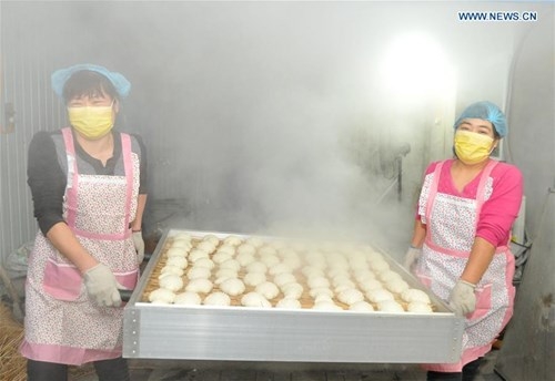 Nặn bánh bao hình gà đón năm Đinh Dậu ảnh 6