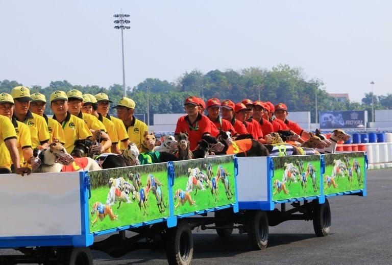truong dua 100 trieu usd cua ong “dung lo voi” di vao hoat dong hinh anh 7