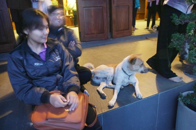 Hinh anh xau xi cua ban tre o ngoi chua noi Son Tung quay MV hinh anh 6