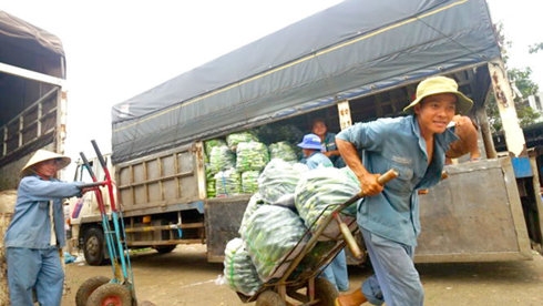 CPI tháng tết tăng mạnh do giao thông và xăng dầu