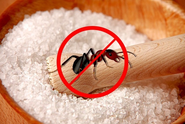 Đầu năm mua muối, cuối năm mua vôi: 10 công dụng có thể bạn chưa biết của muối - Ảnh 7.