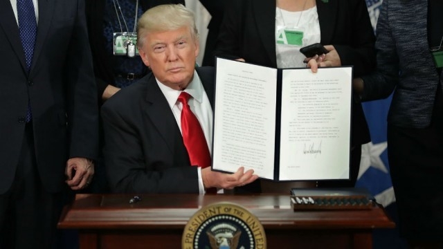 'Toi lo so ong Trump se cam ca ban doi nguoi Viet' hinh anh 3