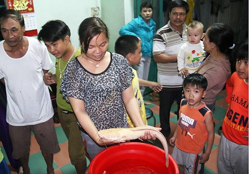 ngu-dan-da-nang-bat-duoc-ca-tre-vang-nang-2-kg