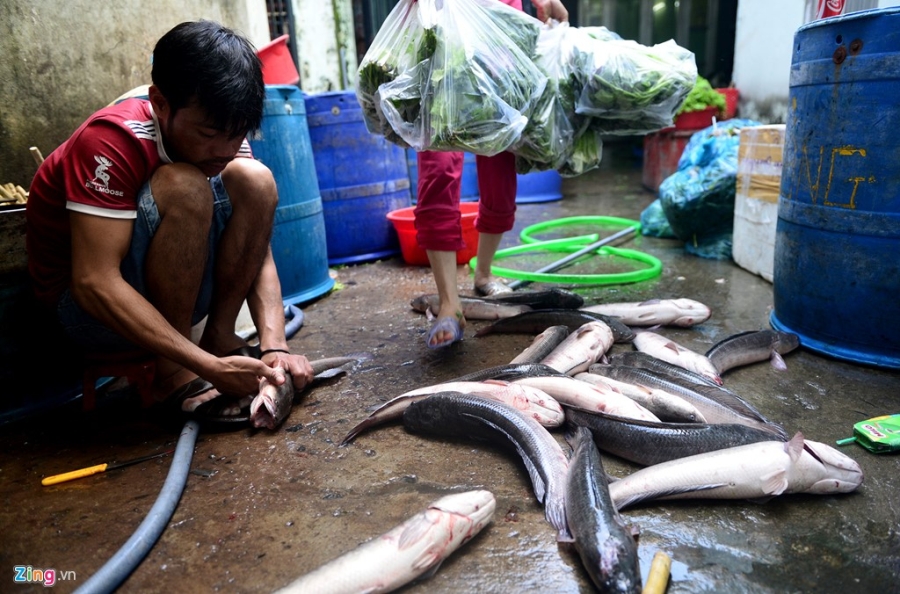 Nguoi Sai Gon do xo mua ca loc nuong cung than tai hinh anh 5