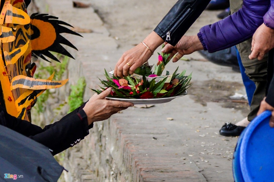 Tai dien canh moi trau nhan tien o hoi Lim hinh anh 3