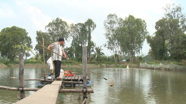  Nhiều nông dân trong chuỗi lên kết tiêu thụ cá tra ở An Giang lâm vào cảnh nợ nần khi chủ Công ty Thuận An được cho là đã bỏ đi nước ngoài 
