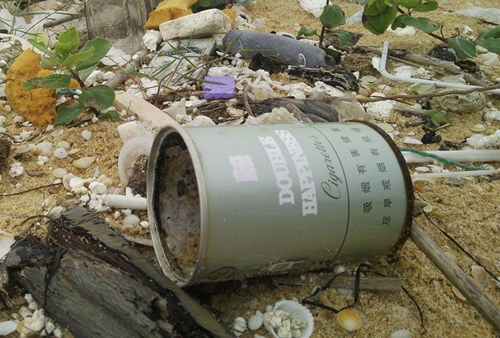 dau-von-cuc-dat-7-km-doc-bo-bien-quang-nam