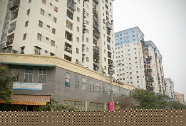 Chuột 'đại náo' chung cư Hà Nội: Khổ lắm nhưng bó tay