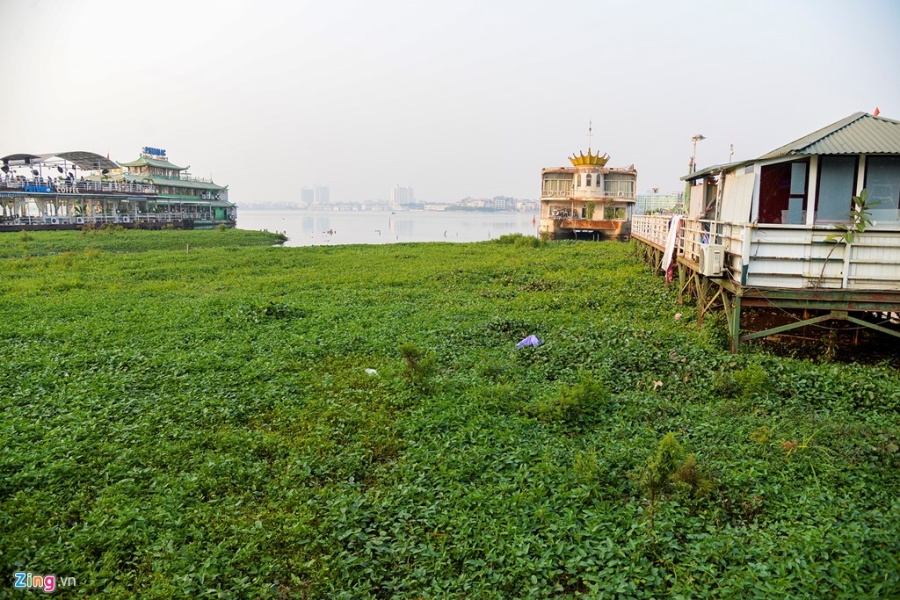 Du thuyen, nha hang chay i bat chap lenh di doi khoi ho Tay hinh anh 14