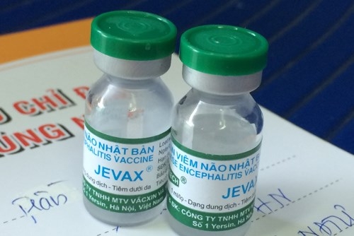 Image result for viêm não nhật bản