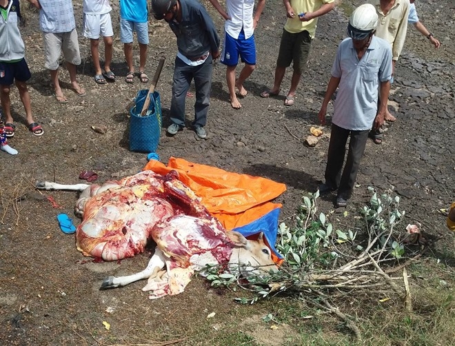Bat doi tinh nhan trom bo xe thit tai cho hinh anh 1