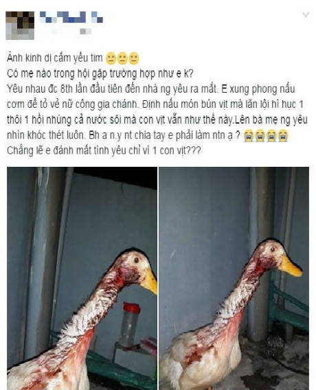  Cách thịt vịt kinh dị của cô gái lần đầu làm thịt nhận được nhiều ý kiến của cộng đồng mạng. 