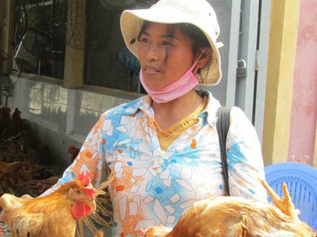  Cần giám sát chặt việc nhập lậu gia cầm qua đường biên giới. Trong ảnh: Gà Trung Quốc bán tại Lạng Sơn. Ảnh: Trần Hiếu 