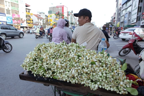 Chùm ảnh: Mùa hoa bưởi dịu dàng xuống phố - 2