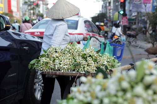 Chùm ảnh: Mùa hoa bưởi dịu dàng xuống phố - 13