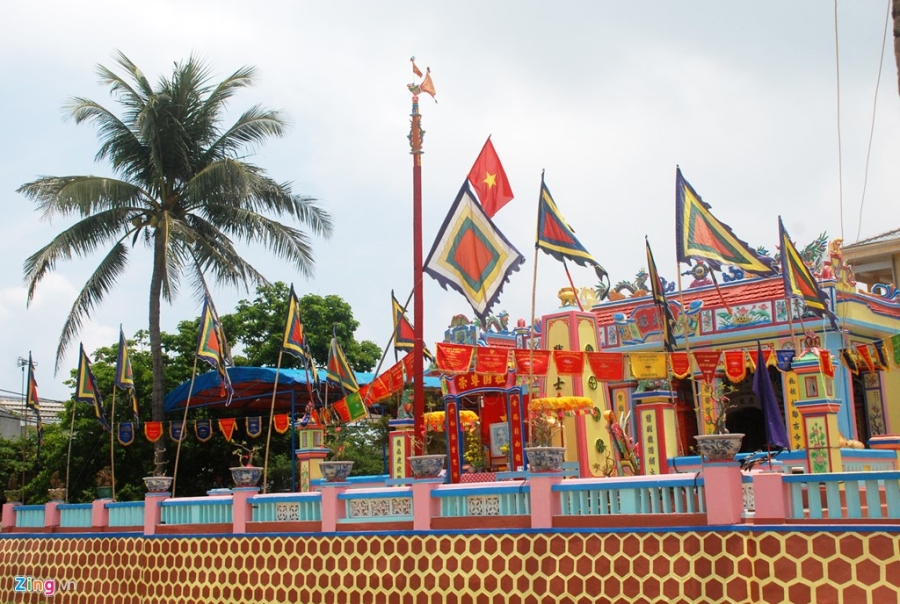 'Ong do Hoang Sa' duy nhat o huyen dao Ly Son hinh anh 8