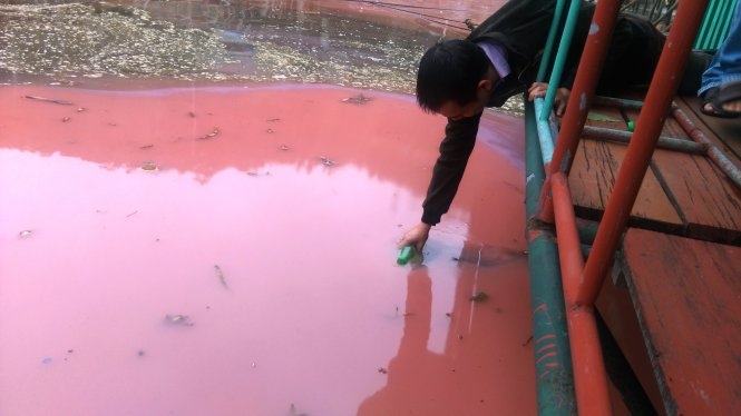 ​Viện Khoa học Công nghệ lấy mẫu nước đỏ ở Vũng Áng 