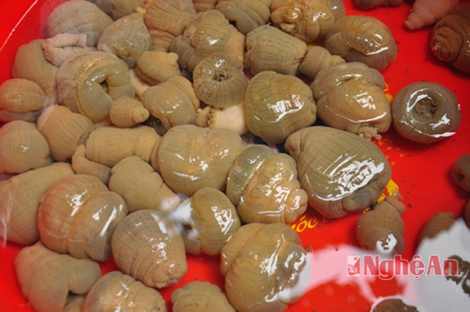 kiem tien trieu moi ngay nho san than duoc hai sam hinh anh 12