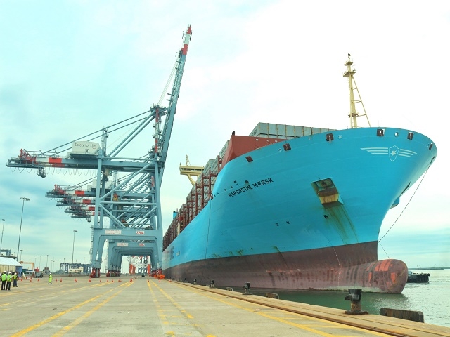 tau hang lon nhat the gioi cap cang viet nam hinh anh 1