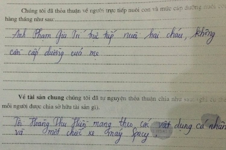 gia đình, ly hôn, tòa án, nuôi con