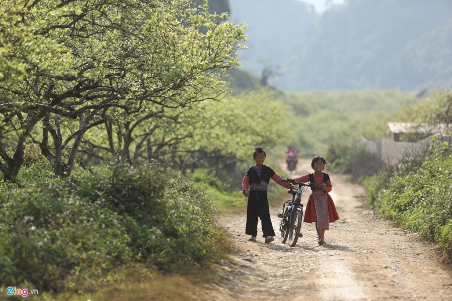Moc Chau dep nhu tranh nhung ngay dau xuan hinh anh 16