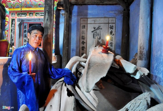 Phuc che hai bo xuong ca voi khong lo o dao Ly Son hinh anh 2