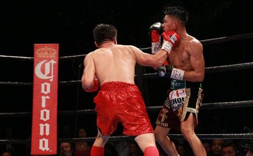 Boxing: Võ sĩ gốc Việt đo ván 