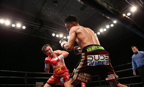 Boxing: Võ sĩ gốc Việt đo ván 