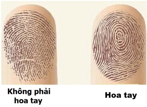 liec nhin qua ban tay la biet ngay troi 'cho' ai giau co, 'phat' ai ngheo nan - 1